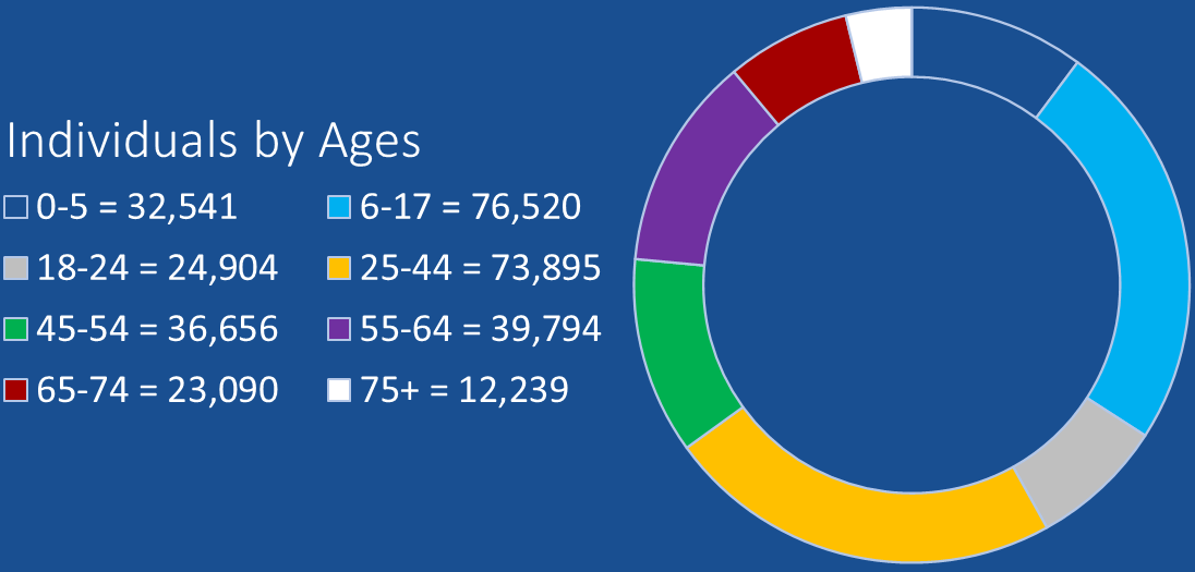 Pie Chart showing CAK clients by age group